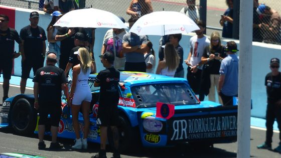 Cars lined up on the starting grid